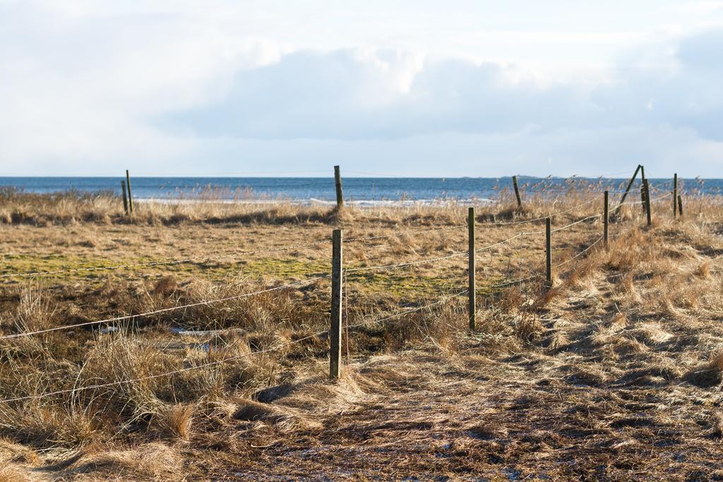 Hallands Kustvandrarhem Falkenberg - B&B Bagian luar foto